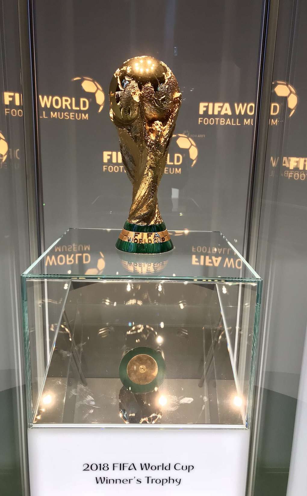A close-up photograph of the FIFA World Cup trophy