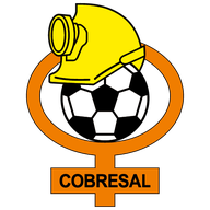 Escudo de Cobresal