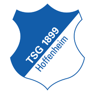 Escudo de TSG Hoffenheim